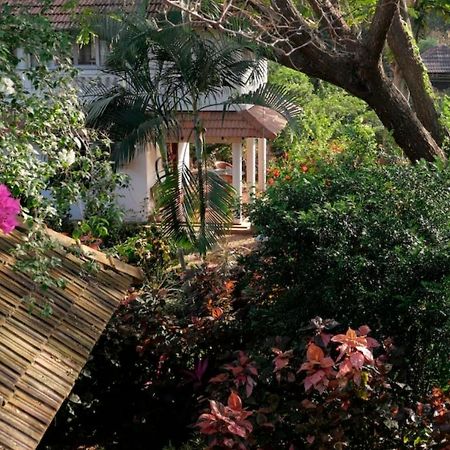 Gaia'S Garden Guest House Auroville Exterior photo